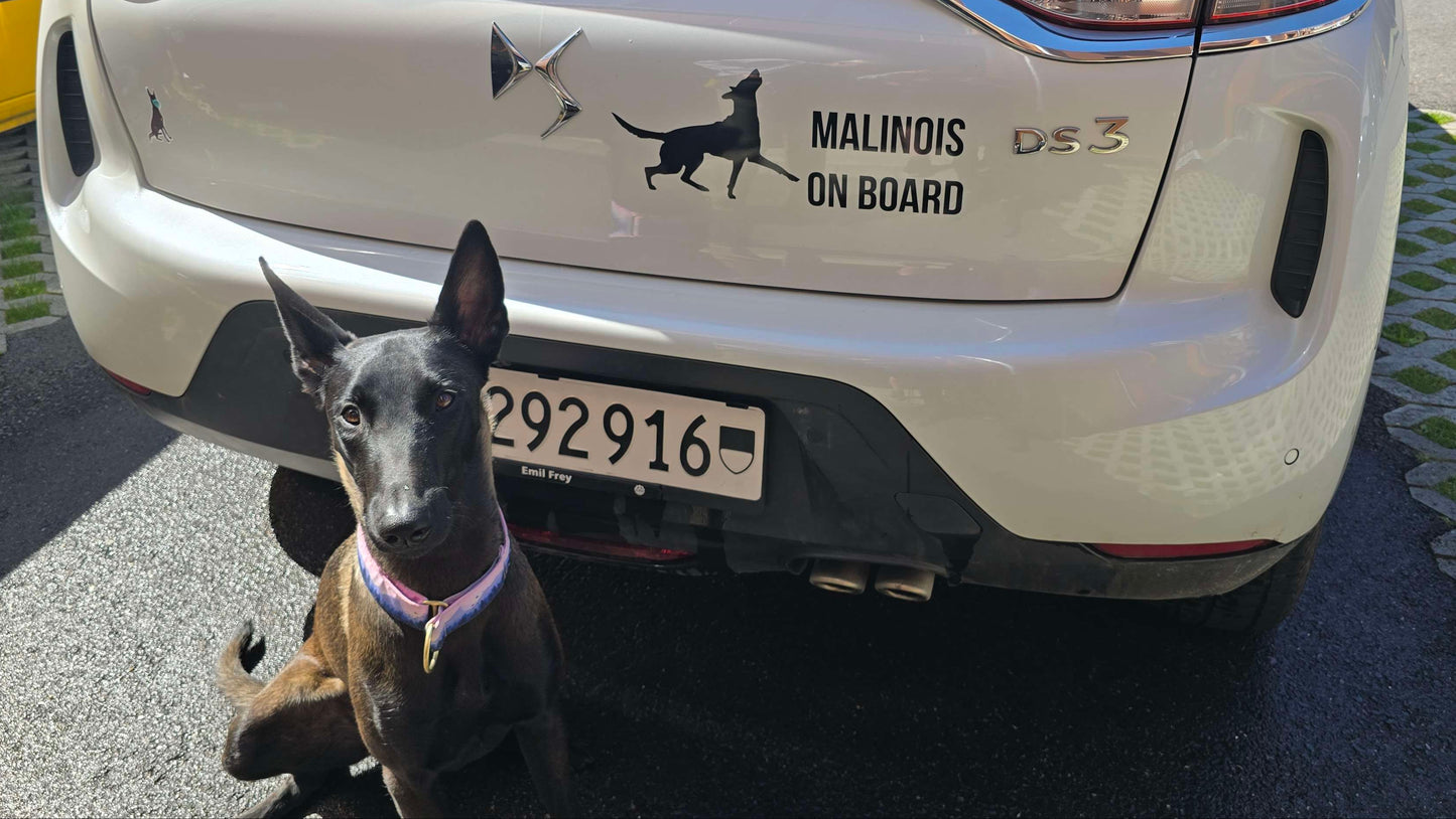 Sticker "Malinois on Board"