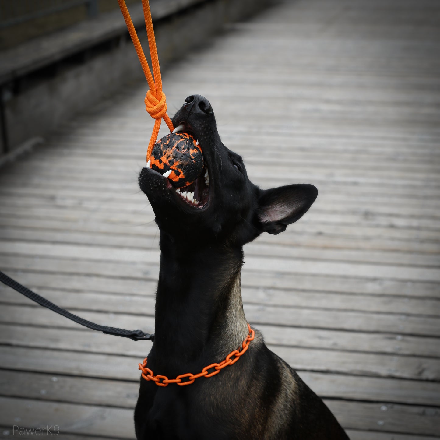 Balle en mousse avec poignée