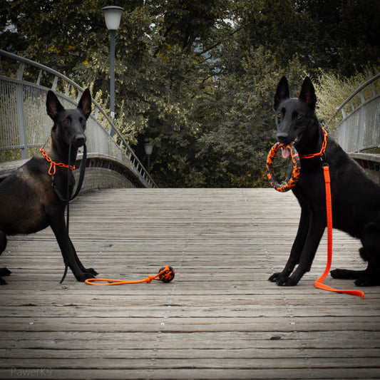 Laisse de Travail Super Grip 1m