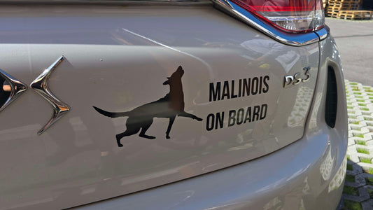 Sticker "Malinois on Board"