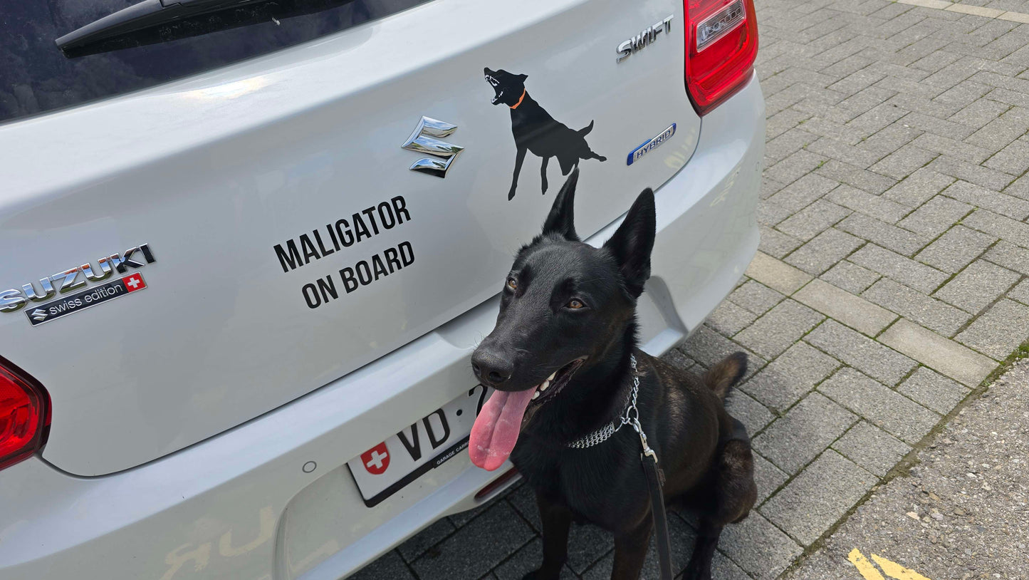 Sticker "Maligator on Board"
