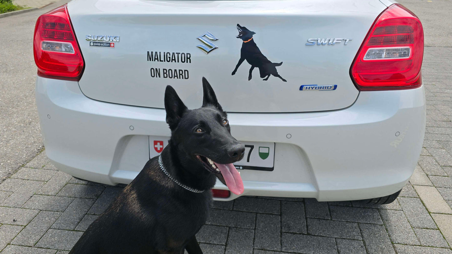 Sticker "Maligator on Board"