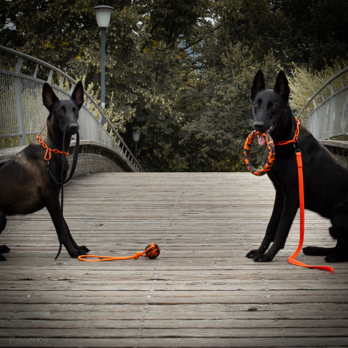 Laisse de Travail Super Grip 1m