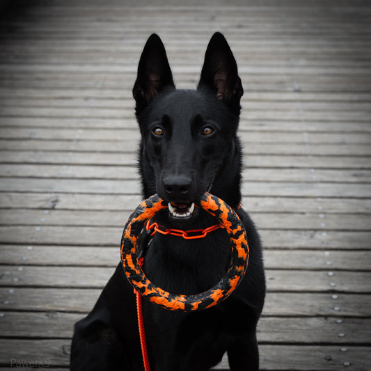 Anneau de jeu flottant